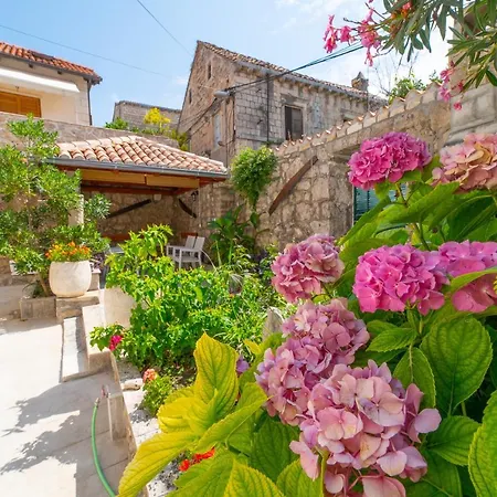Andelina Old Town Apartment *