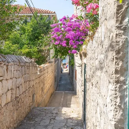 Andelina Old Town Cavtat
